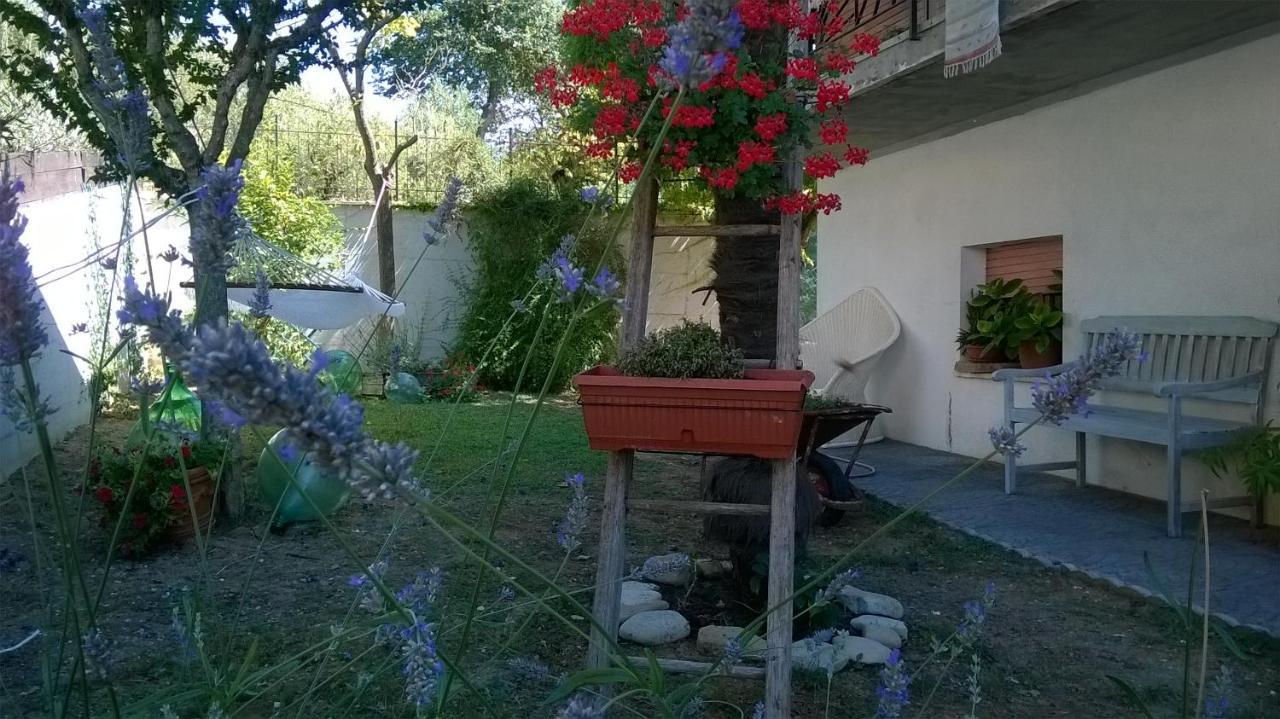 B&B Teranga Montecarotto Dış mekan fotoğraf
