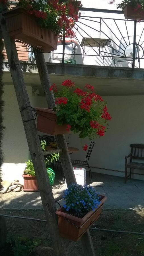 B&B Teranga Montecarotto Dış mekan fotoğraf