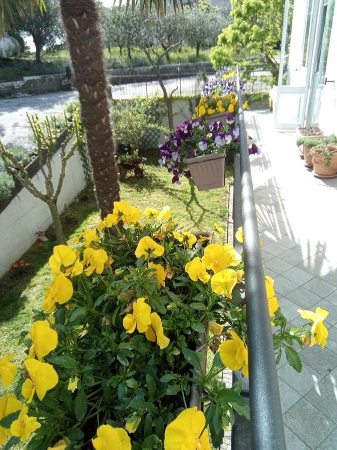 B&B Teranga Montecarotto Dış mekan fotoğraf
